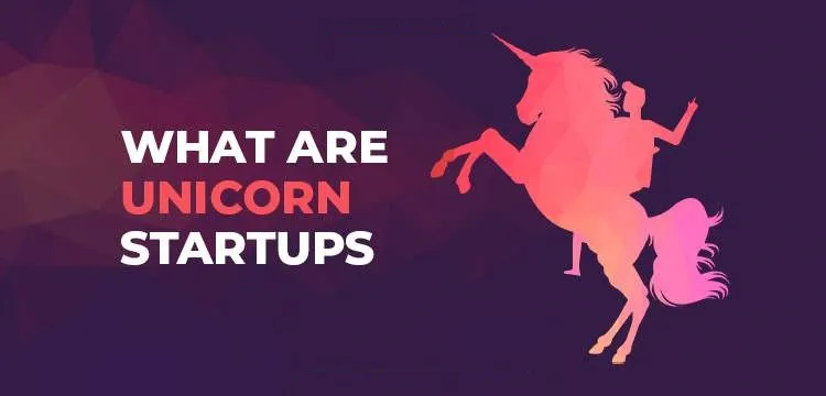 What is the Unicorn Company?